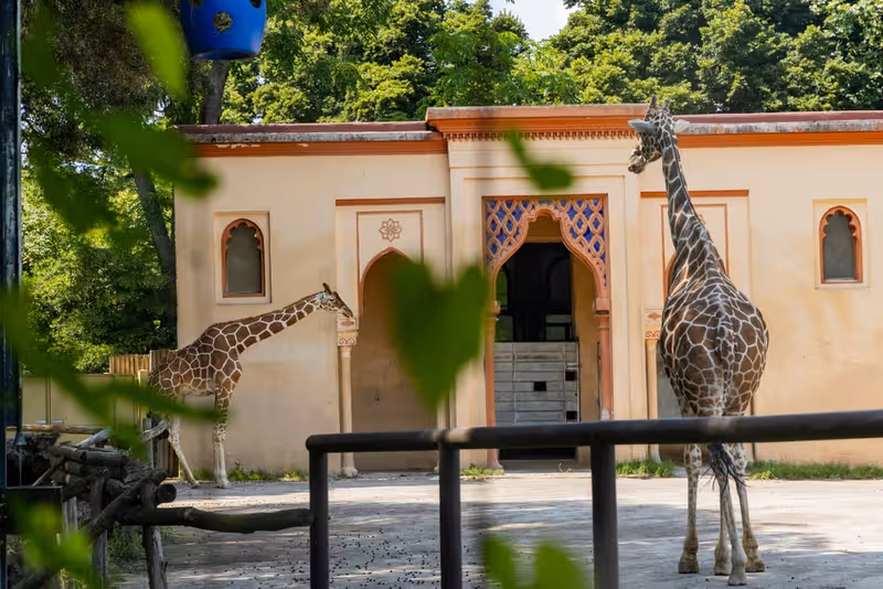 Rome Bioparco Fast Track Tickets